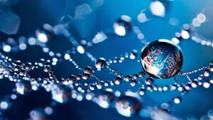 fascia and nasal breathing